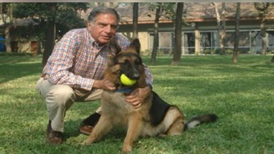 رجل أعمال هندي يوصي بجزء كبير من ميراثه لكلبه 