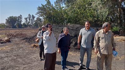  تنفيذ 22 قرار إزالة لمكامير الفحم في محافظة الدقهلية 