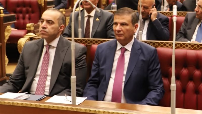 مجلس الشيوخ، فيتو