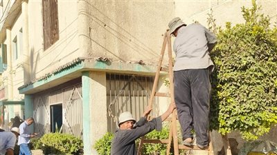 رئيس الحسينية في الشرقية يوجه بتهذيب الأشجار بمدخل المدينة 