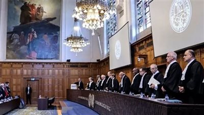 خارجية جنوب أفريقيا تقدم أدلة تفصيلية على ارتكاب الاحتلال إبادة جماعية في غزة