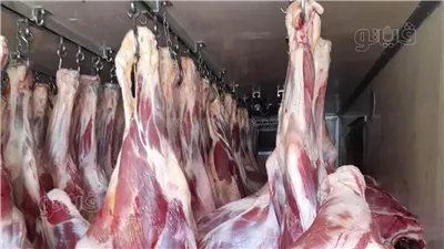  نائب يسأل عن خطة الحكومة لتحقيق الاكتفاء الذاتي من اللحوم الحمراء