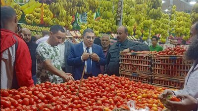 محافظ الدقهلية يتفقد الخدمات الطبية وأسعار السلع الغذائية خلال جولة ببلقاس (صور)