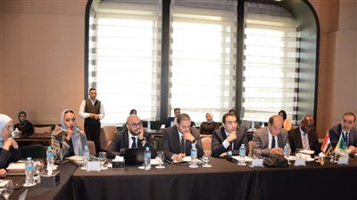 التعاون الدولي: الصناعات الكيماوية من أهم القطاعات التنافسية في الاقتصاد المصري