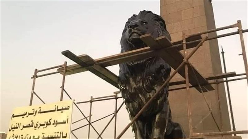 تنظيف أسود كوبرى