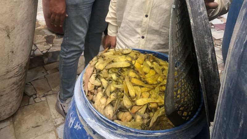 تموين الشرقية , فيتو