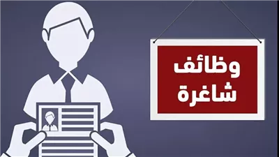 الجيزة تعلن عن فرص عمل جديدة للشباب بالقطاع الخاص