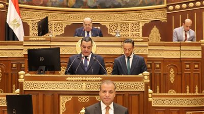 نواب الشيوخ يرحبون بتجديد العمل بقانون إنهاء المنازعات الضريبية 