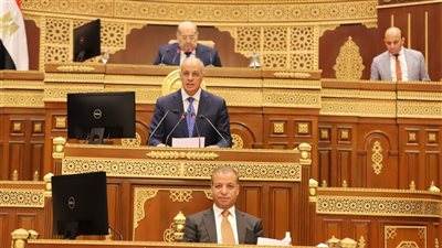 نائب أمام الشيوخ: تحسين كفاءة الإنفاق العام من الأولويات بسبب الظروف العالمية 