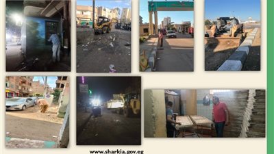 حملات مكثفة لتحسين مستوى النظافة العامة بمحافظة الشرقية 