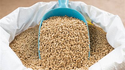  تعرف على أسعار الأعلاف والحبوب في الأسواق