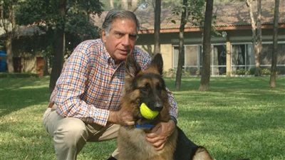 تقدر بالمليارات، كلب يرث ثروة رجل أعمال هندي بعد وفاته (صور)