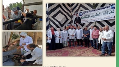 تنظيم قافلة طبية بيطرية بقرية بنى عامر في الشرقية 