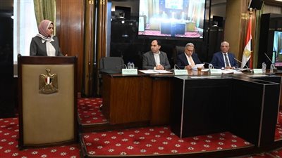 رئيس محلية النواب ينتقد عدم التنسيق بين التخطيط والمحافظات في رصف الشوارع 