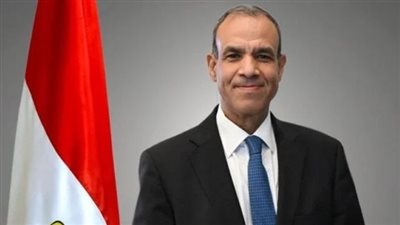 بدر عبد العاطى: منطقة الساحل الأفريقي جزء لا يتجزأ من الأمن القومي المصري