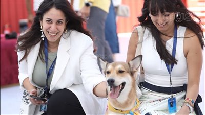 لقطة اليوم، صناع «أمانة البحر» في مهرجان الجونة رفقة الكلبة «كراميل» (فيديو)