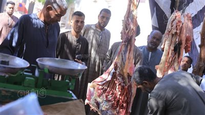 الكيلو بـ 270 جنيها، شاب في الأقصر يدشن مبادرة لمواجهة غلاء اللحمة (صور)