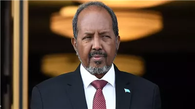 الرئيس الصومالي: علاقتنا مع إثيوبيا لا تؤثر على شراكتنا مع مصر