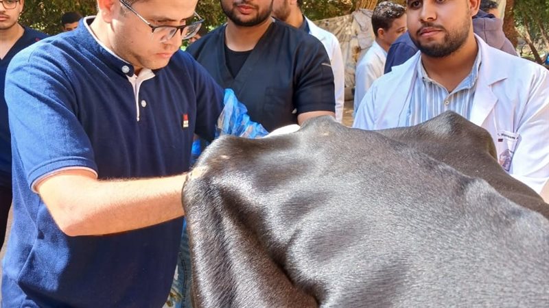 جامعة سوهاج تقيم