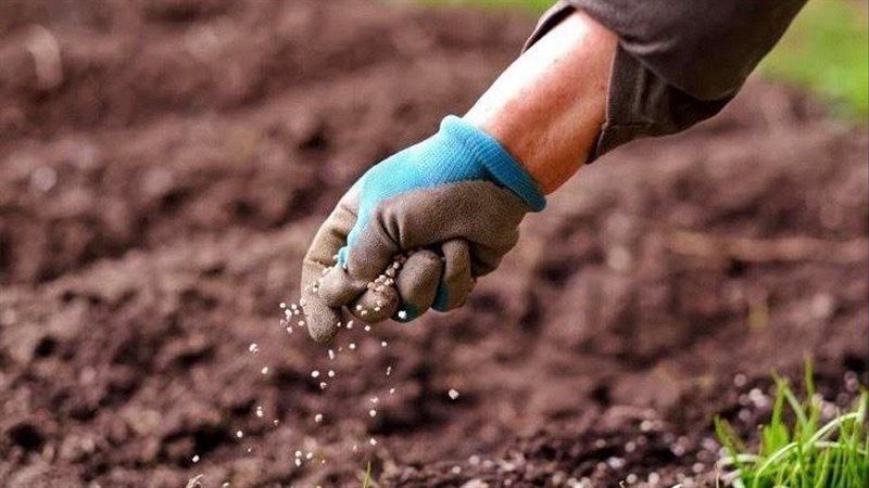 مبادرة ازرع، فيتو