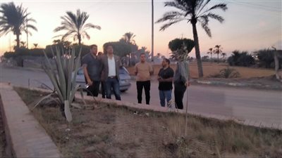 رفع 400 طن من المخلفات بشواع مدينة جمصة في الدقهلية 