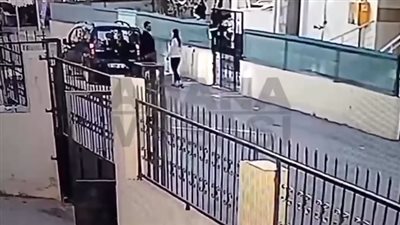 لحظة اختطاف امرأة بالشارع في وضح النهار تثير المخاوف (فيديو)