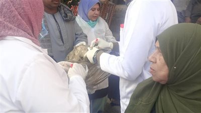 بيطرى سوهاج يضبط لحوم دواجن غير صالحة للاستهلاك الآدمى 