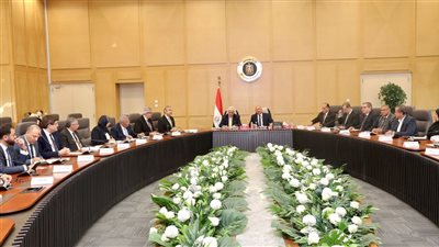 وزيرا الصناعة والتعليم العالي يبحثان سبل تعظيم دور البحث العلمي في النهوض بالصناعة والنقل