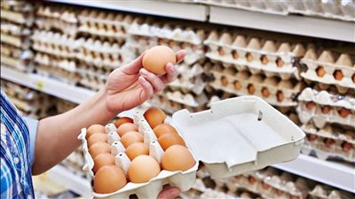 أسعار البيض تثير الجدل على مواقع التواصل الاجتماعي.. «العسقلاني»: المستورد أظهر الخلل في المنظومة المحلية.. «المنوفي»: لا نشجع استمرارية الاستيراد