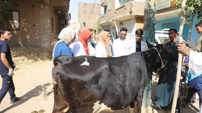جامعة جنوب الوادي تطلق قافلة بيطرية لقرية طوخ (صور)