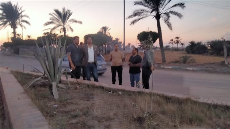 حملات بشوارع جمصة،