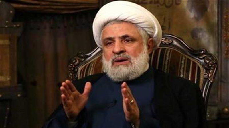 نعيم قاسم، فيتو 
