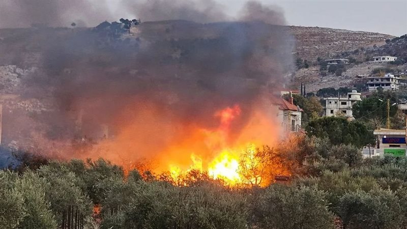 جنوب لبنان، فيتو