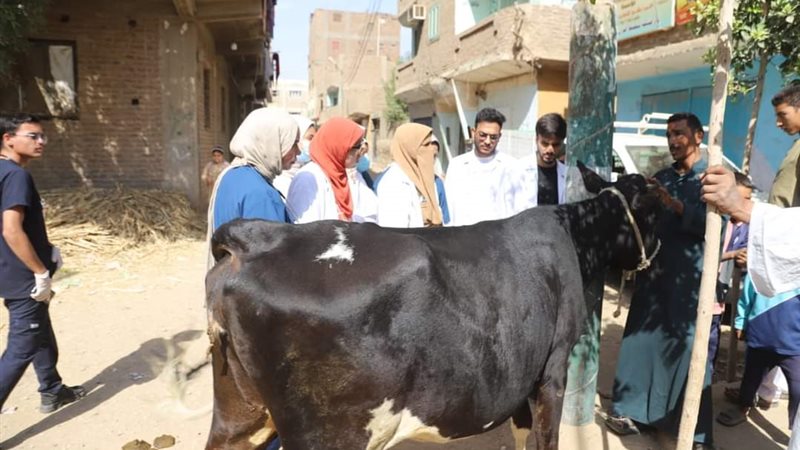 بيطرى قنا، فيتو