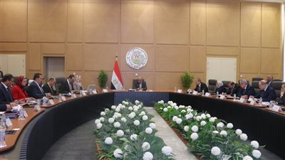 وزير الكهرباء: مستمرون فى خطة خفض الفقد ومنع سرقة التيار وتحسين الأداء ورفع كفاءة التشغيل