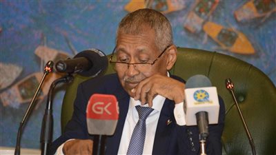 سفير السودان لدى القاهرة: الإعلام المصري تصدى للمؤامرة التي تتعرض لها بلادنا 