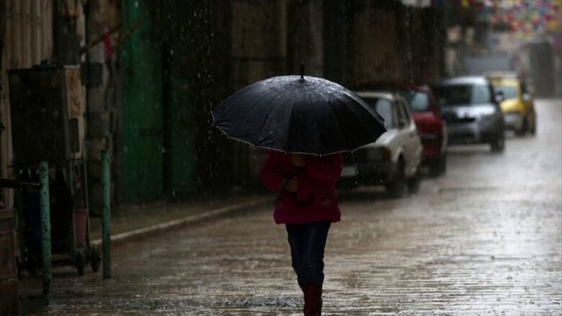 حالة الطقس غدا، فيتو