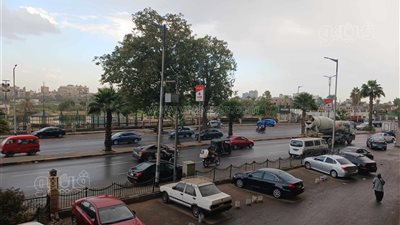 سقوط أمطار متوسطة على القاهرة والجيزة (فيديو وصور)