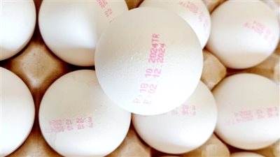 مواطنون ضد الغلاء يطالب حماية المستهلك بتطبيق التجربة التركية