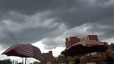 حالة الطقس غدًا الثلاثاء 12-11-2024 بوادي النطرون