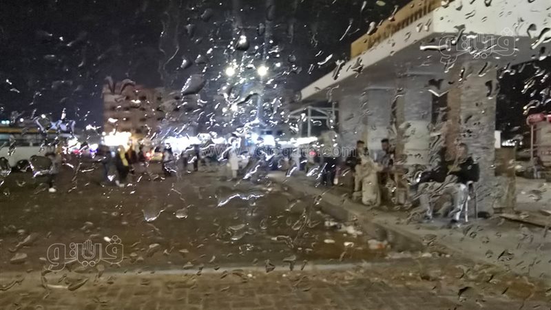 حالة الطقس غدا، فيتو