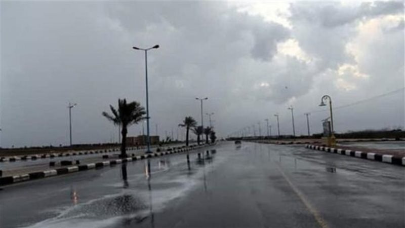 حالة الطقس غدا، فيتو