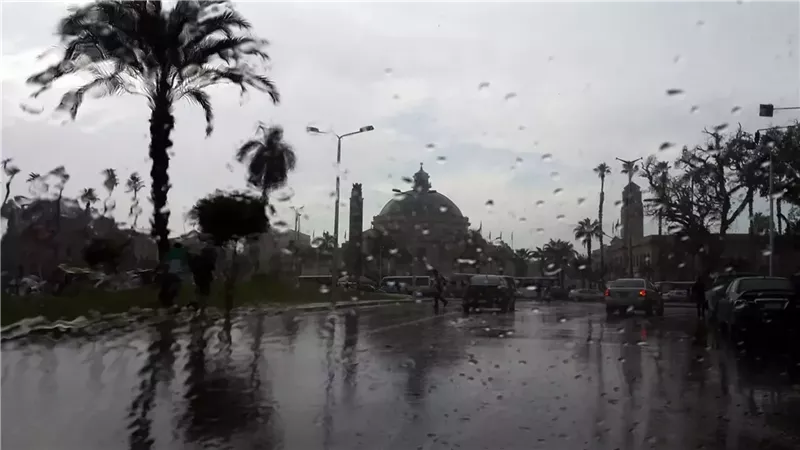 سقوط أمطار، فيتو