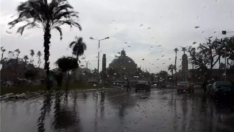  سقوط الأمطار، فيتو