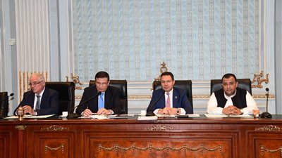 وزير الزراعة: نسعى لاستقطاب شركات عالمية لإنتاج التقاوى محليا