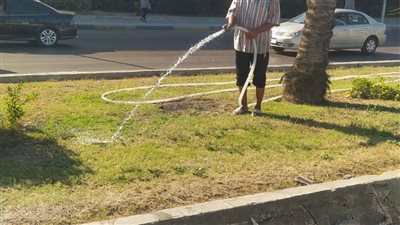 استمرار أعمال رفع كفاءة الحدائق والمسطحات الخضراء بحي وسط فى الإسكندرية 