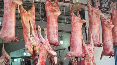  الصافي يتراجع 8 جنيهات، أسعار اللحوم الضاني بالأسواق