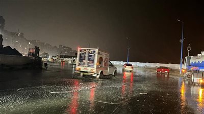 غدا، أمطار متوسطة الشدة ورعدية بالإسكندرية