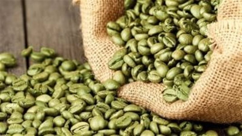 القهوة الخضراء 