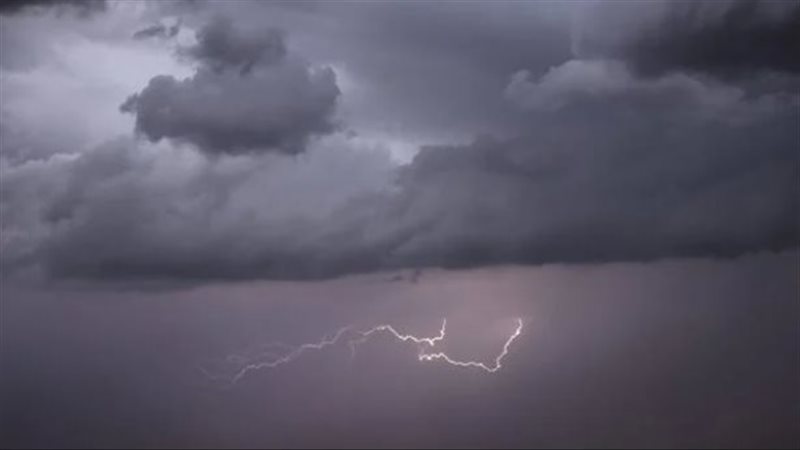 الخلايا الرعدية،
